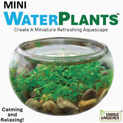 SILVER CIRCLE MINI WATERPLANTS