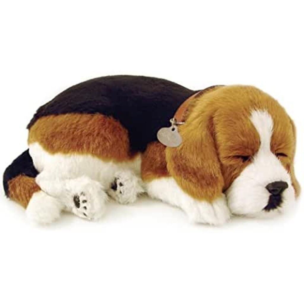 PERFECT PETS PERFECT PETS DOG