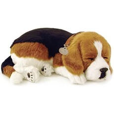 PERFECT PETS PERFECT PETS DOG