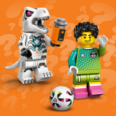 LEGO LEGO MINIFIGURES SERIES 29