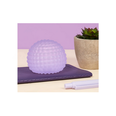 SPEKS GUMP SURFACE