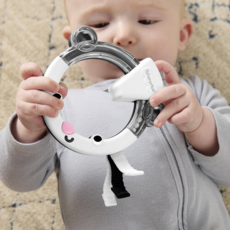 FISHER PRICE EASY GRASP ACTIVITY RING