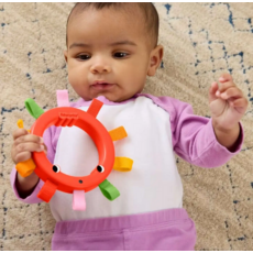 FISHER PRICE EASY GRASP ACTIVITY RING
