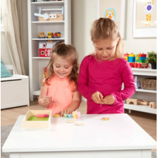 MELISSA AND DOUG FLOWER MAGNETS WOODEN CRAFT KIT