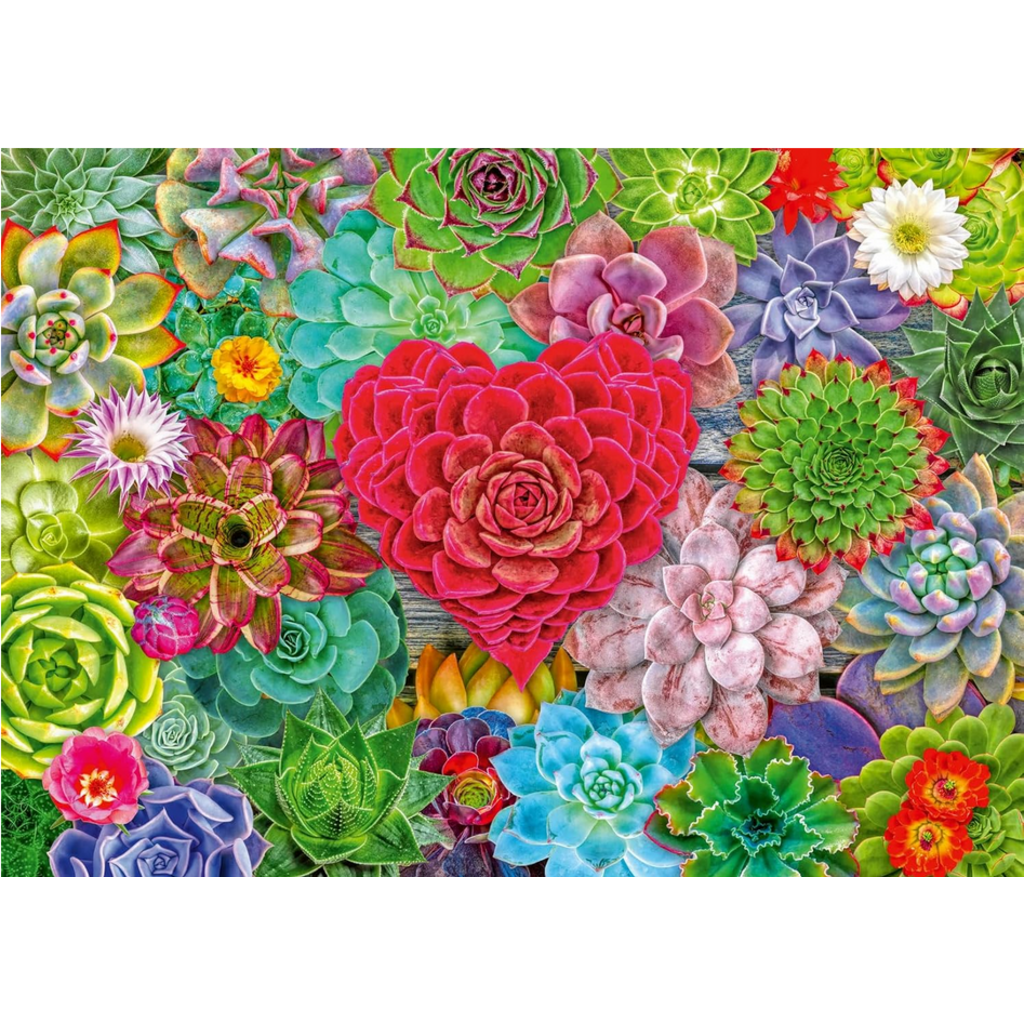 RAVENSBURGER USA SUCCULENT LOVE 500 PC PUZZLE