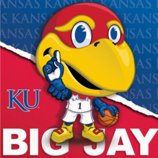 MASTER PIECES MASCOT 100 PC PUZZLE  KU JAYHAWK