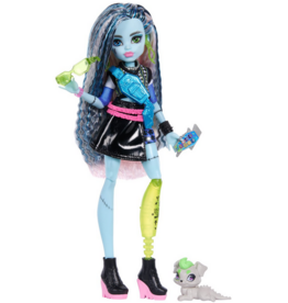 MONSTER HIGH MONSTER HIGH DOLL FRANKIE STEIN