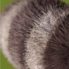 JELLY CAT TRIXIWOO RACCOON