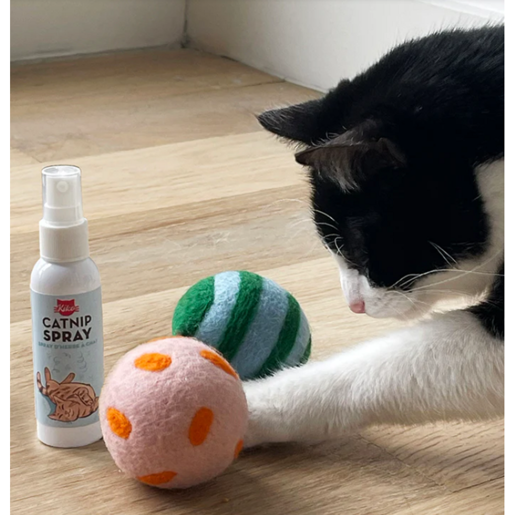 KIKKERLAND CATNIP SPRAY & PLAY