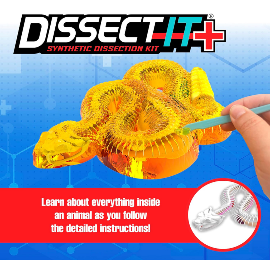 DISSECT IT DISSECT IT RATTLESNAKE SUPER LAB