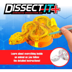 DISSECT IT DISSECT IT RATTLESNAKE SUPER LAB