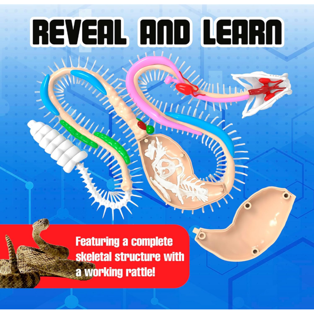 DISSECT IT DISSECT IT RATTLESNAKE SUPER LAB