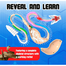DISSECT IT DISSECT IT RATTLESNAKE SUPER LAB