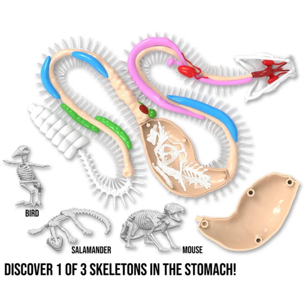 DISSECT IT DISSECT IT RATTLESNAKE SUPER LAB
