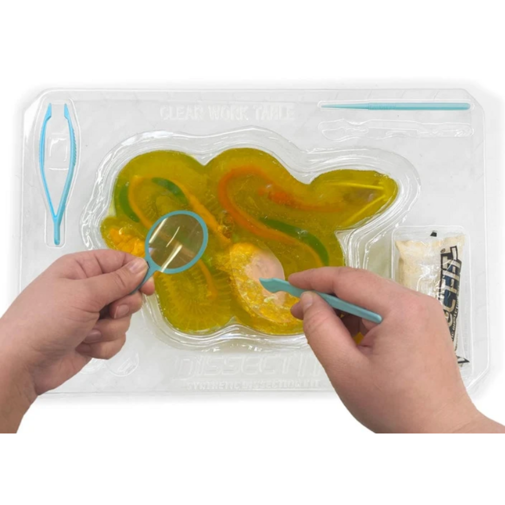 DISSECT IT DISSECT IT RATTLESNAKE SUPER LAB