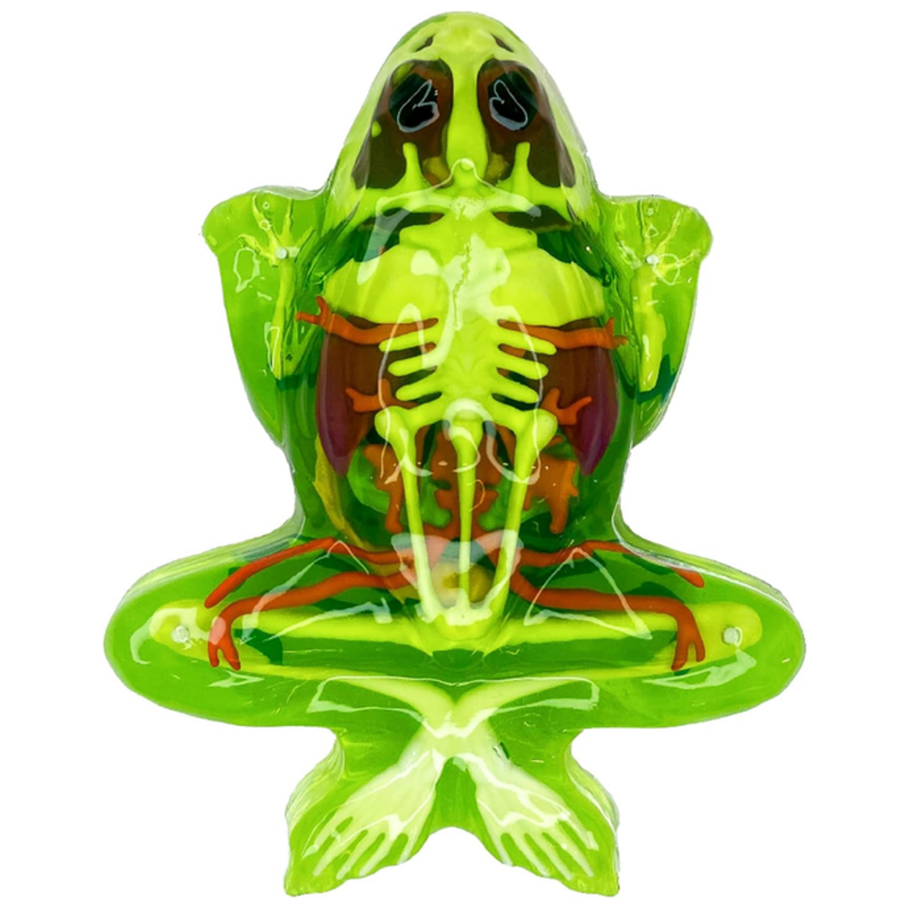 DISSECT IT DISSECT IT FROG SUPER LAB