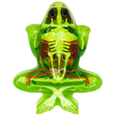 DISSECT IT DISSECT IT FROG SUPER LAB