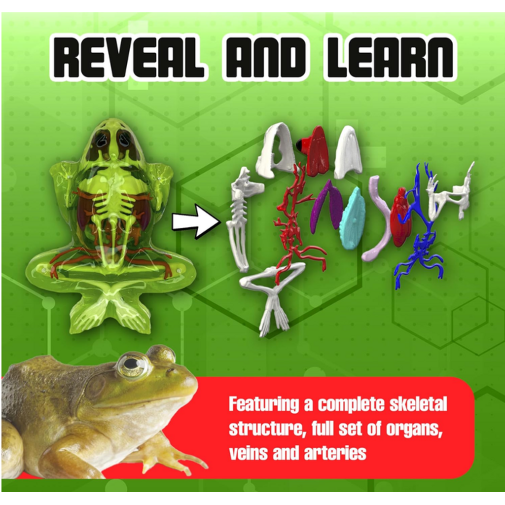 DISSECT IT DISSECT IT FROG SUPER LAB