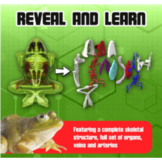 DISSECT IT DISSECT IT FROG SUPER LAB