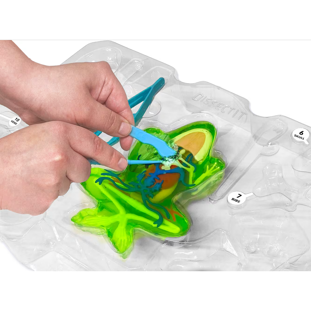 DISSECT IT DISSECT IT FROG SUPER LAB