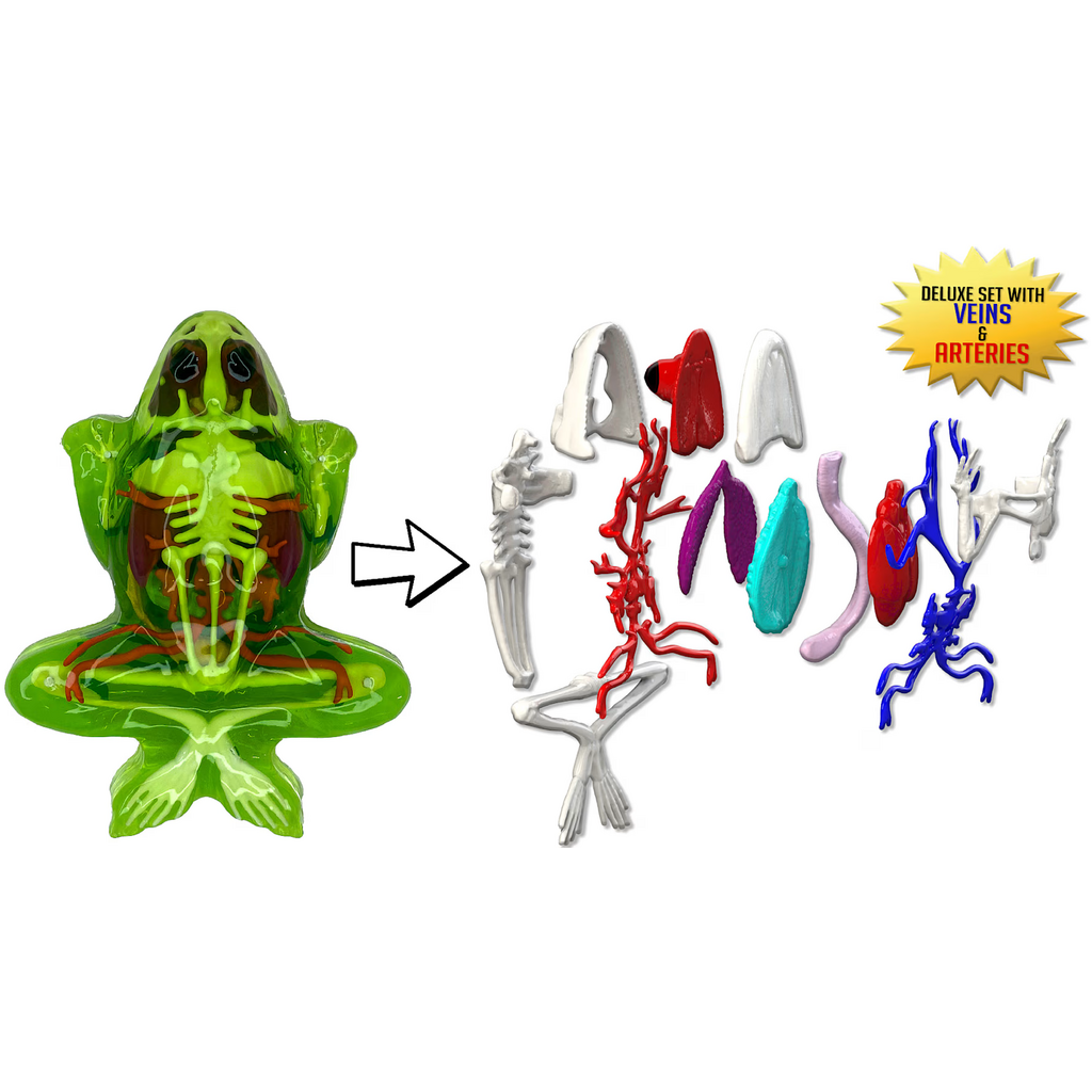 DISSECT IT DISSECT IT FROG SUPER LAB