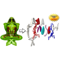 DISSECT IT DISSECT IT FROG SUPER LAB