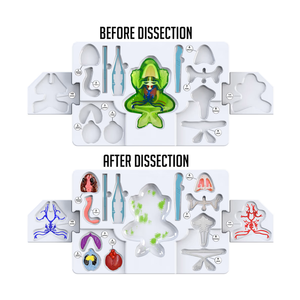 DISSECT IT DISSECT IT FROG SUPER LAB