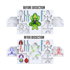 DISSECT IT DISSECT IT FROG SUPER LAB