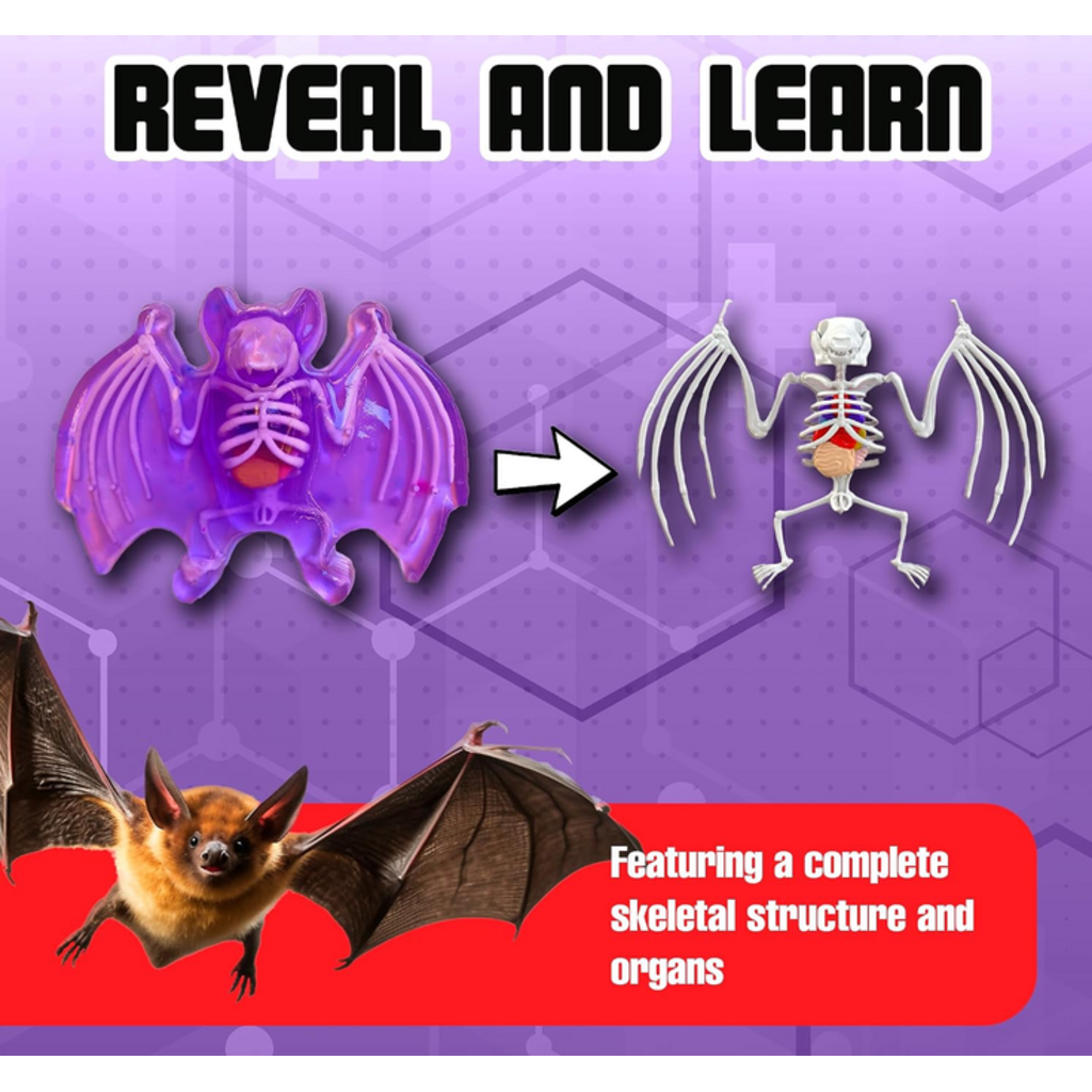 DISSECT IT DISSECT IT MINI LABS