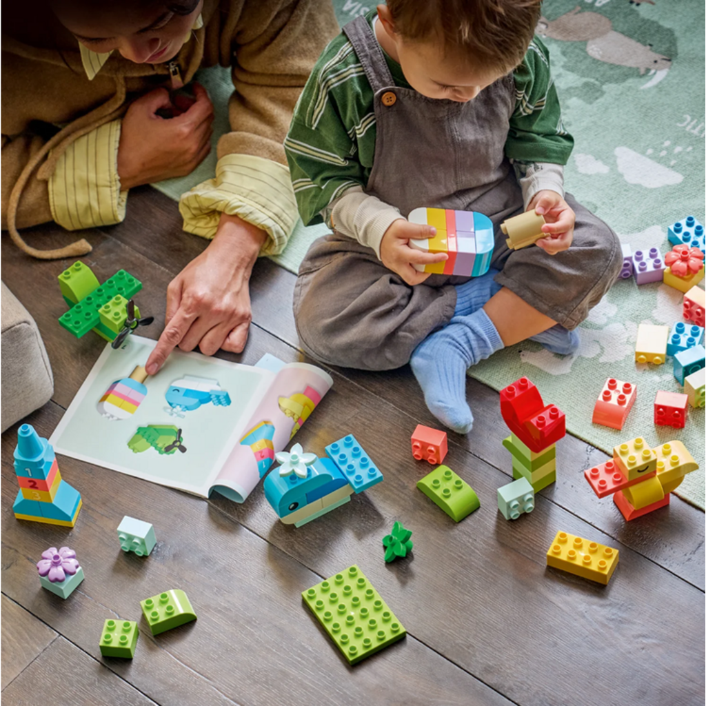 LEGO COLORFUL CREATIVE BOX