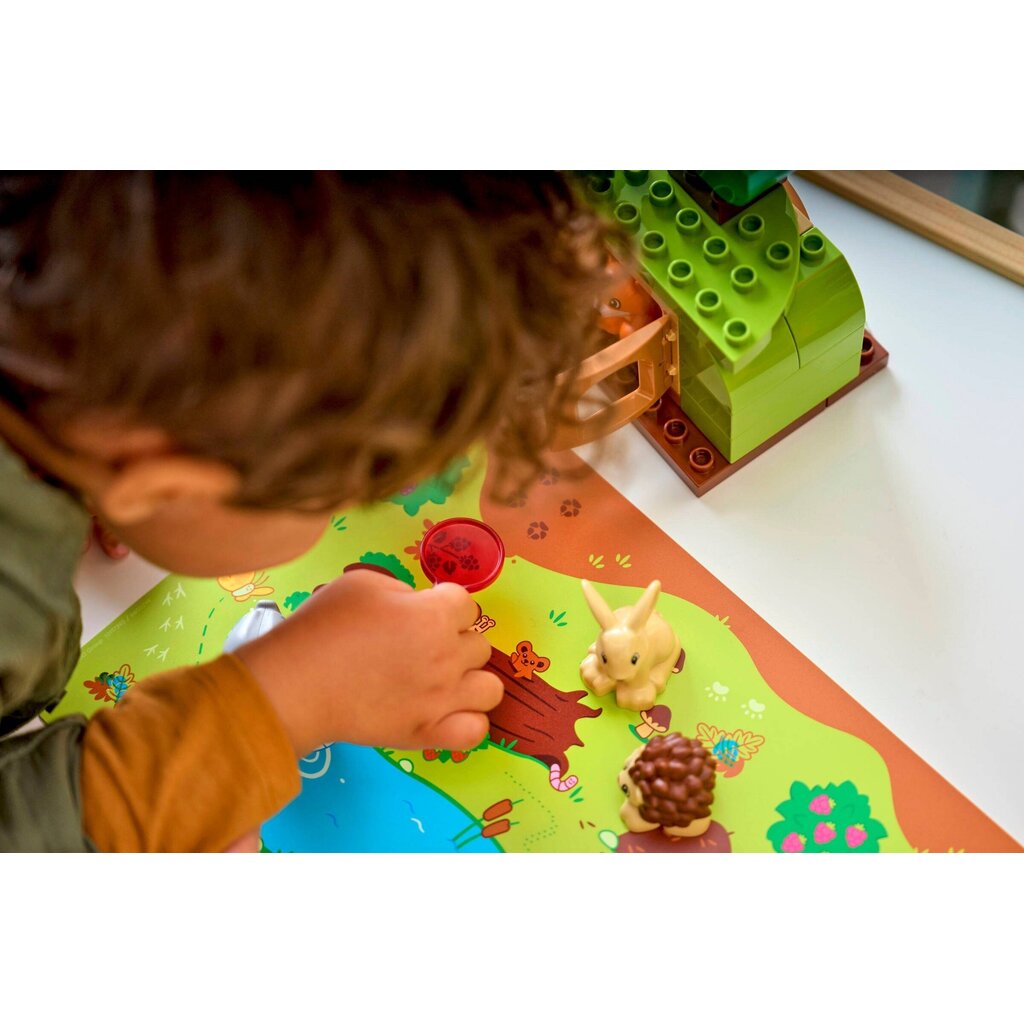 LEGO DISCOVERY FOREST WITH WILD ANIMALS