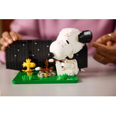 LEGO PEANUTS: SNOOPY'S DOGHOUSE