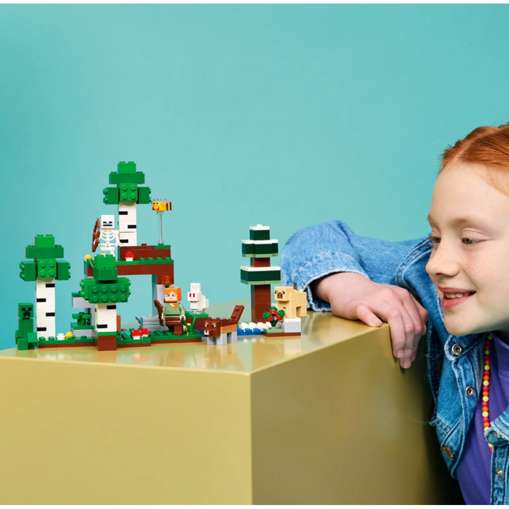 LEGO FIRST NIGHT ADVENTURE