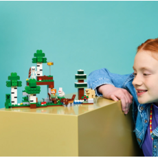 LEGO FIRST NIGHT ADVENTURE
