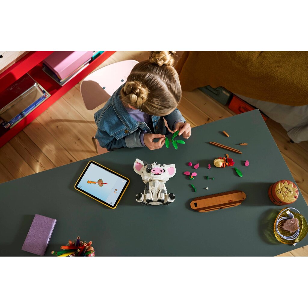LEGO PUA