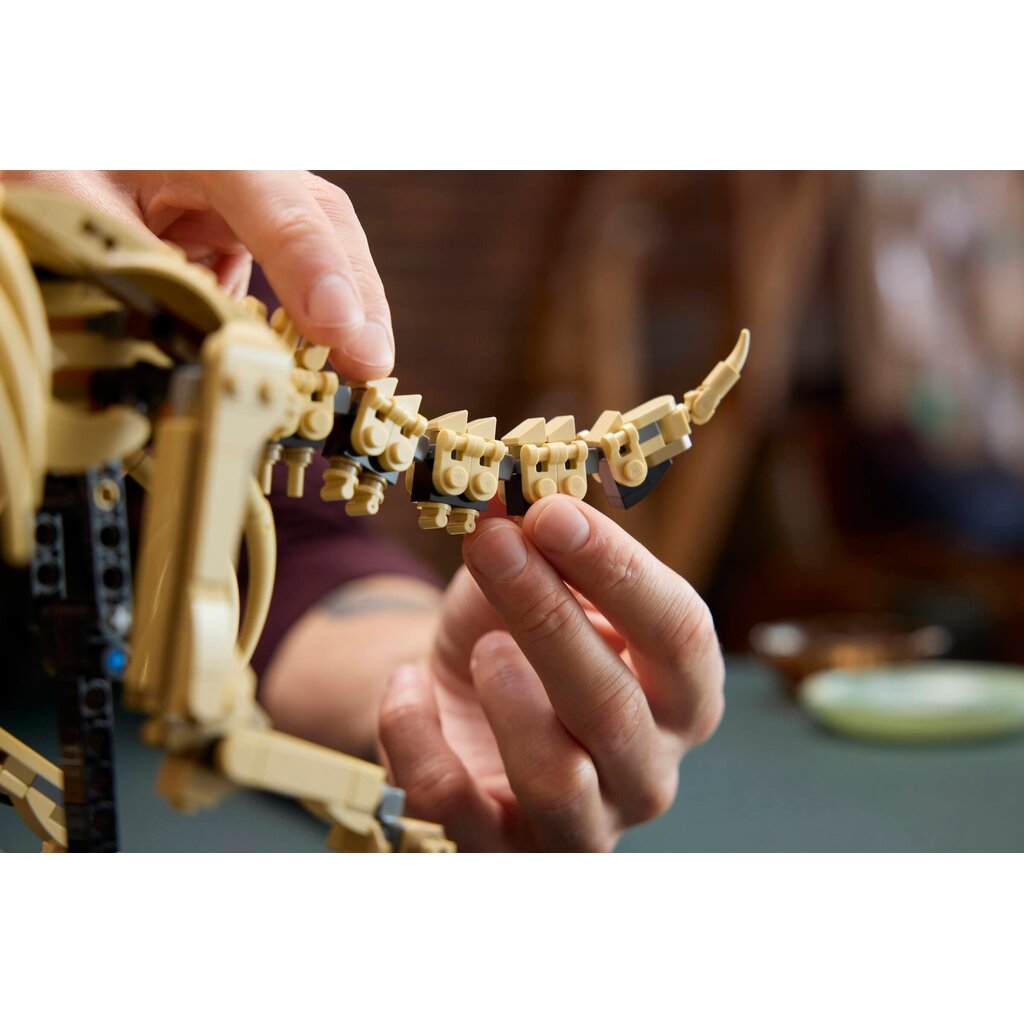 LEGO DINOSAUR FOSSILS: TRICERATOPS