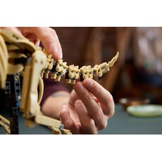 LEGO DINOSAUR FOSSILS: TRICERATOPS