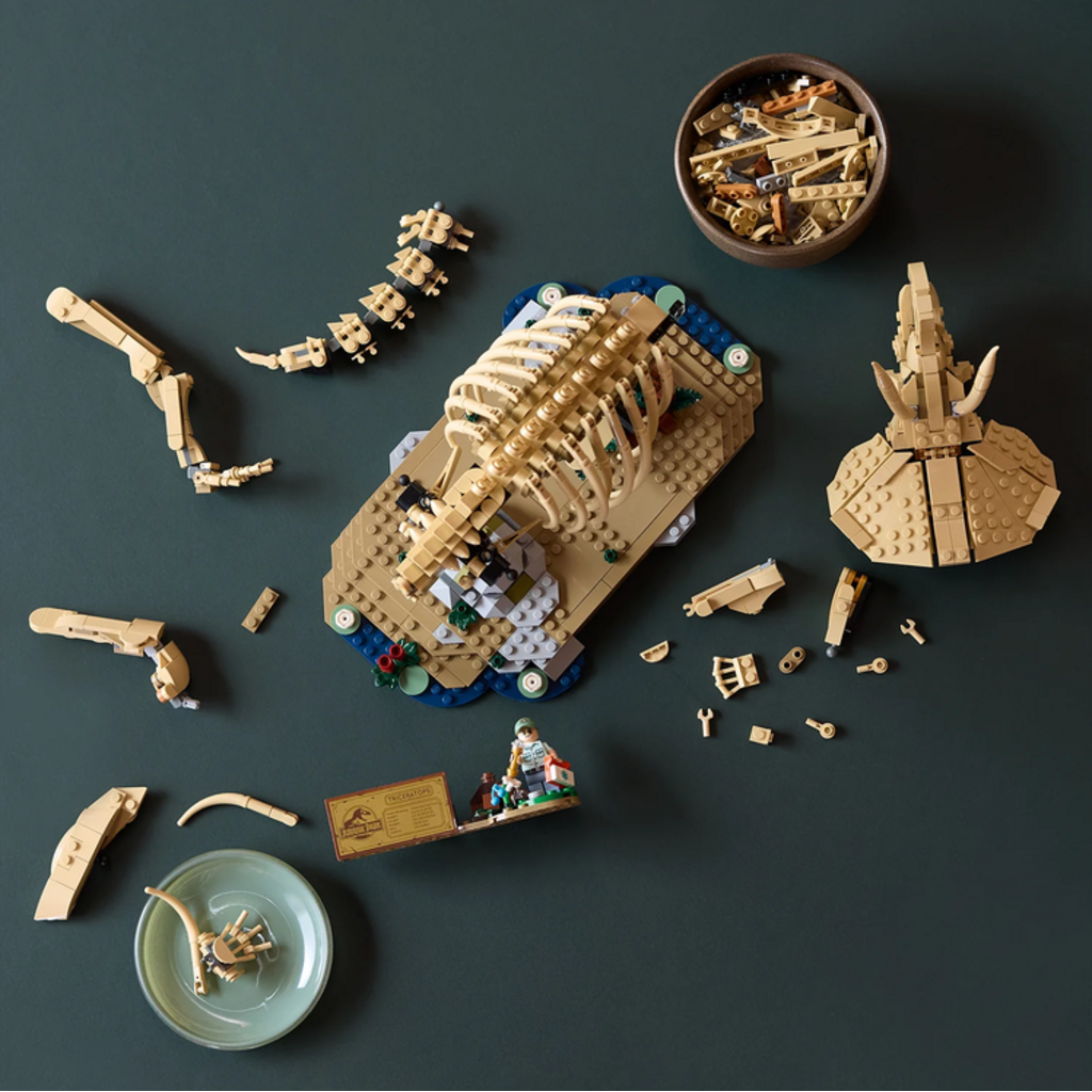 LEGO DINOSAUR FOSSILS: TRICERATOPS