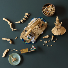 LEGO DINOSAUR FOSSILS: TRICERATOPS