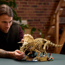 LEGO DINOSAUR FOSSILS: TRICERATOPS