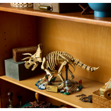 LEGO DINOSAUR FOSSILS: TRICERATOPS