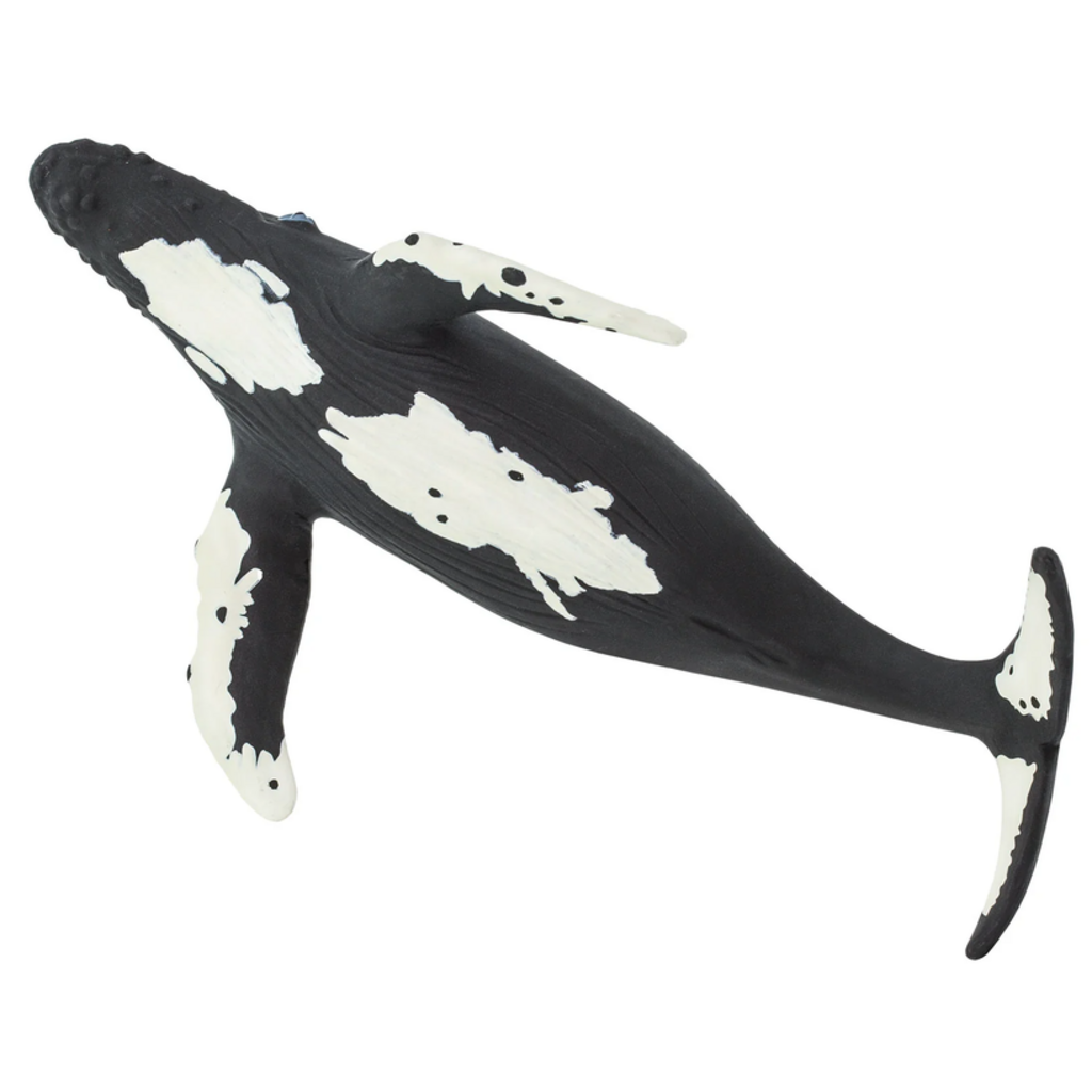 SAFARI SAFARI WHALE  HUMPBACK