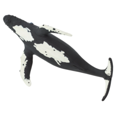 SAFARI SAFARI WHALE  HUMPBACK