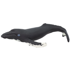 SAFARI SAFARI WHALE  HUMPBACK
