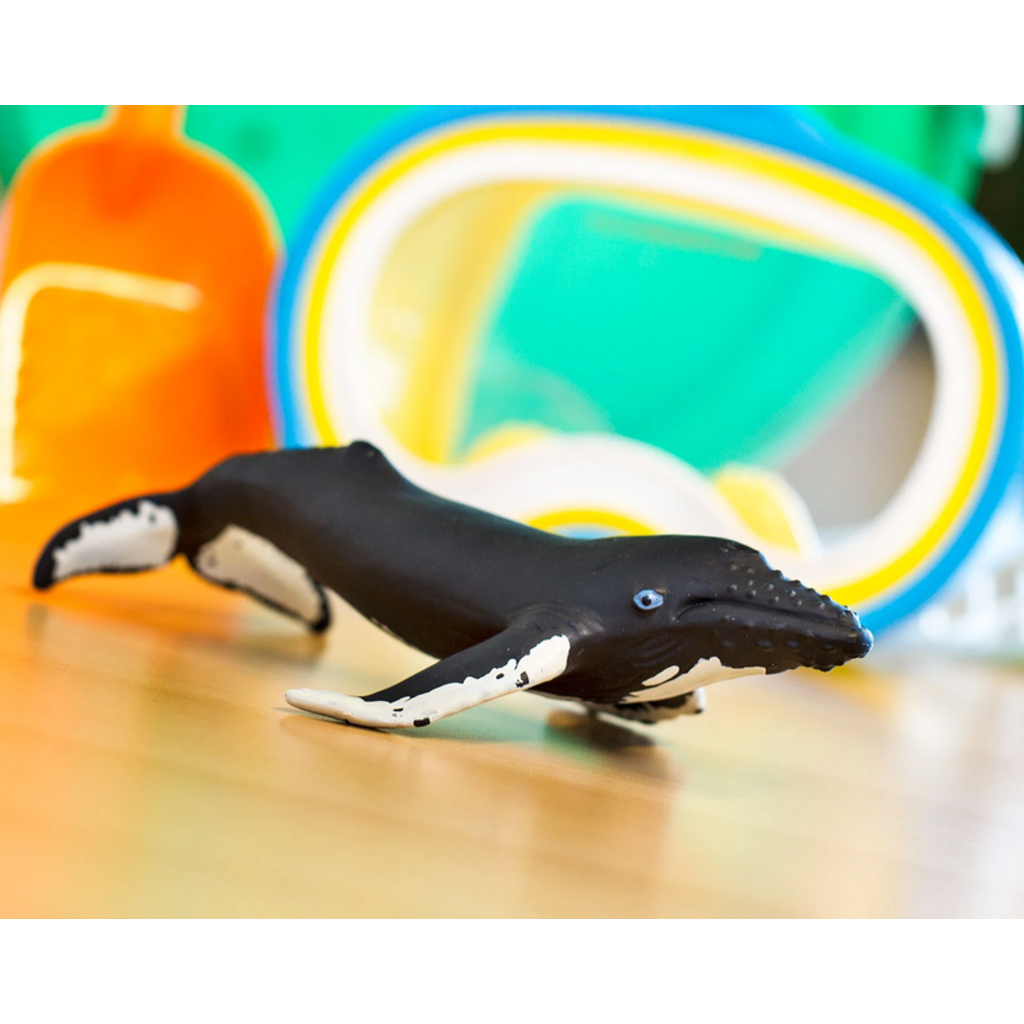 SAFARI SAFARI WHALE  HUMPBACK