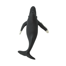 SAFARI SAFARI WHALE  HUMPBACK