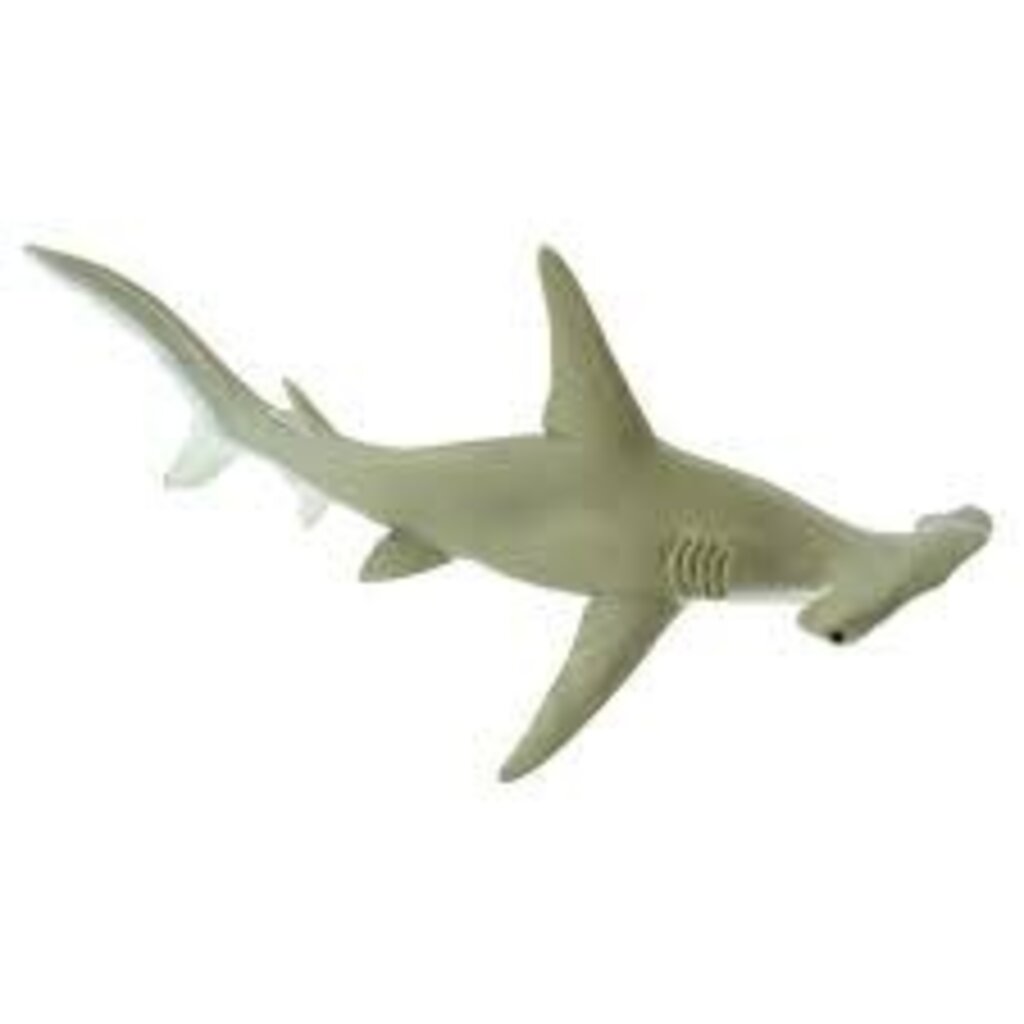 SAFARI SAFARI SHARK  HAMMERHEAD