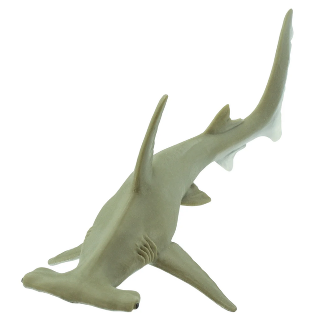 SAFARI SAFARI SHARK  HAMMERHEAD