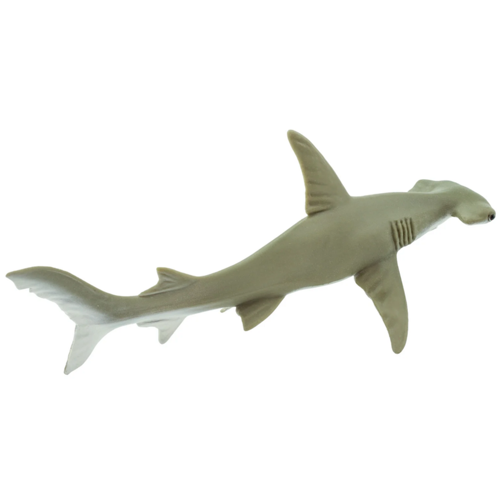 SAFARI SAFARI SHARK  HAMMERHEAD