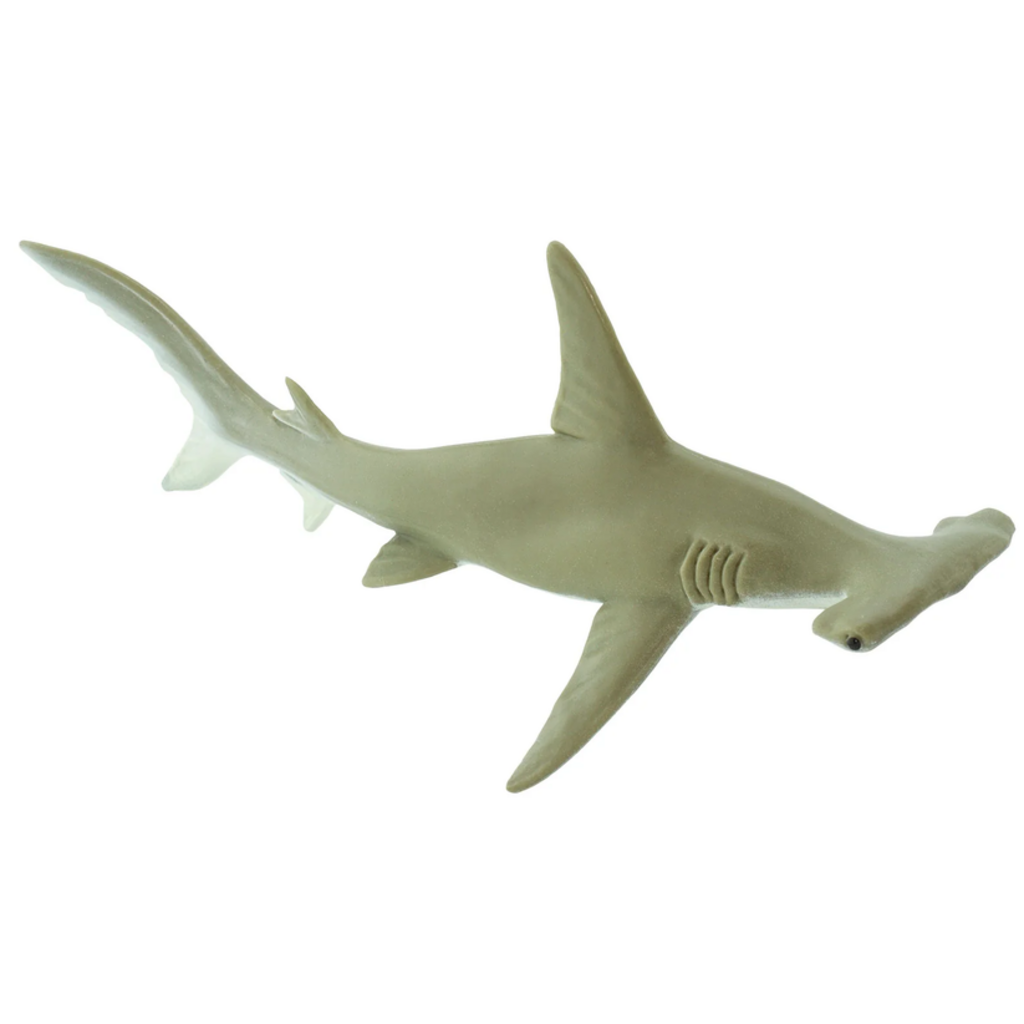SAFARI SAFARI SHARK  HAMMERHEAD